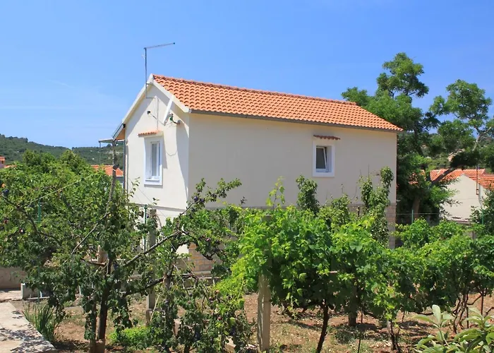 With Wifi Sali, Dugi Otok - 8189 *