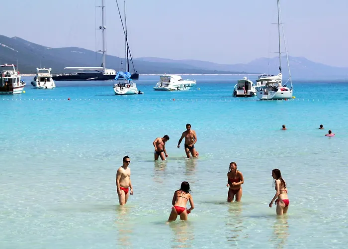 With Wifi Sali, Dugi Otok - 8189 Appartamento